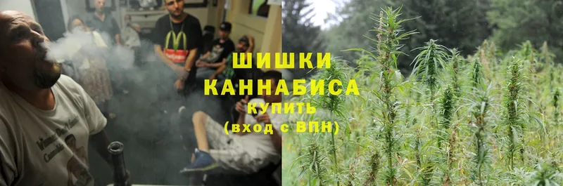 Бошки марихуана LSD WEED  что такое наркотик  Каневская 